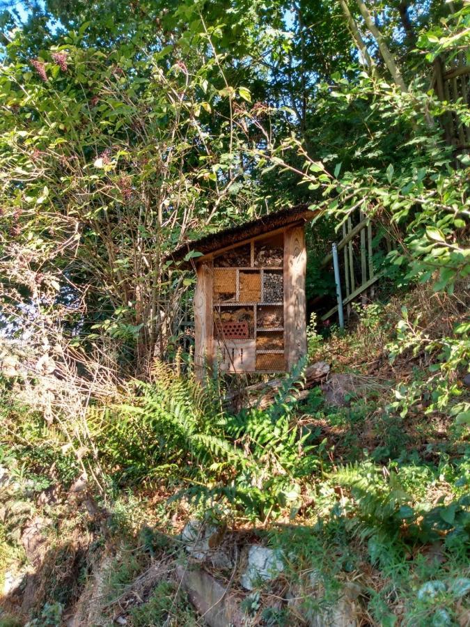 Natuerlich Kirchner Haus Katrin Villa Eisenach Dış mekan fotoğraf