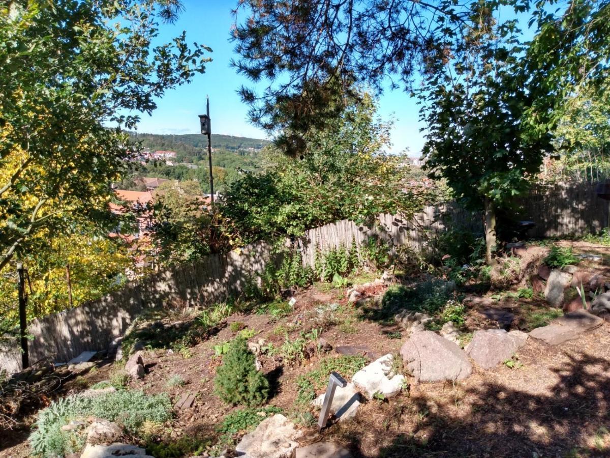 Natuerlich Kirchner Haus Katrin Villa Eisenach Dış mekan fotoğraf