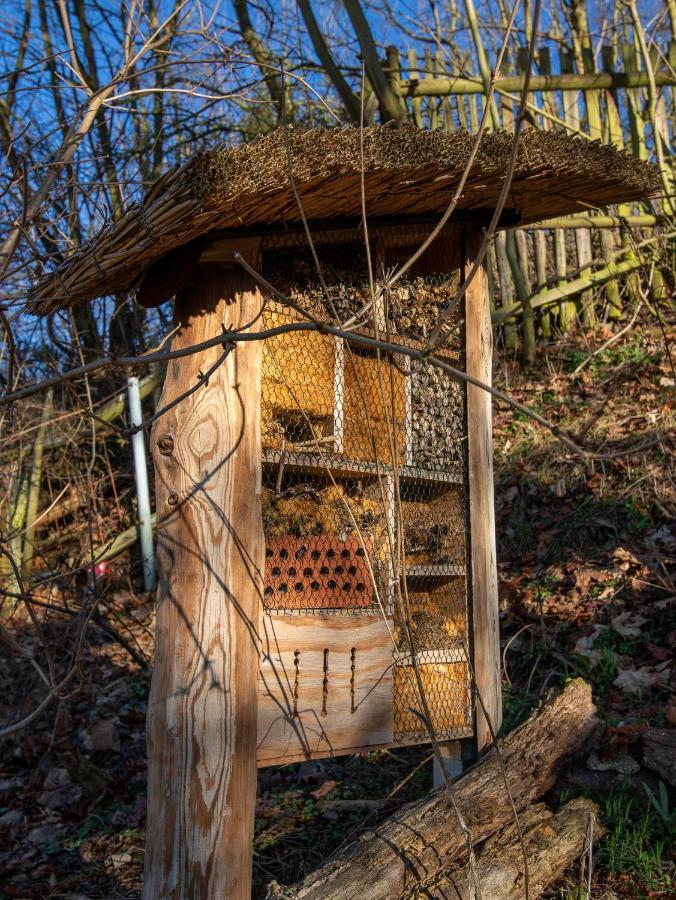 Natuerlich Kirchner Haus Katrin Villa Eisenach Dış mekan fotoğraf